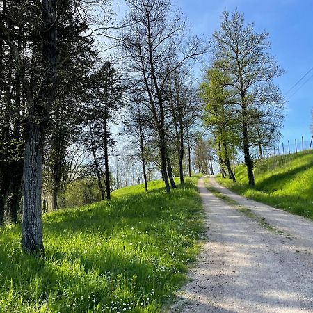 Agriturismo Podere Le Tombe Pensionat Palaia Eksteriør billede